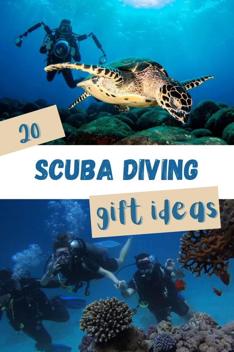 Best Gifts for Scuba Divers, Blog