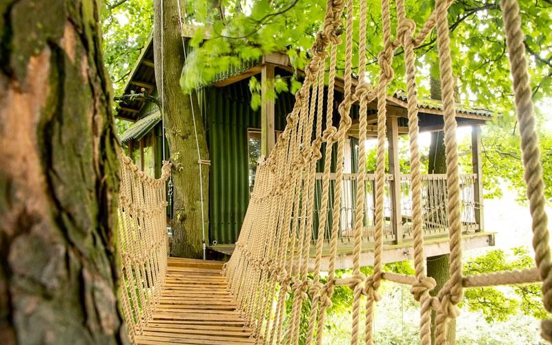 Copse Camp in Wales