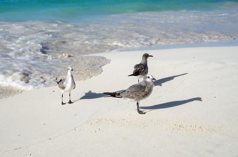 visit yucatan peninsula mexico