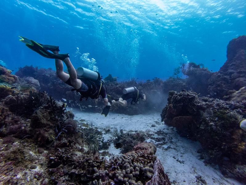 Old Fishing Nets Underwater Reef Scuba Diver Point Of View High